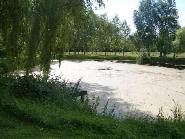 Cottage Proche Circuit 24 Heures Le Mans Proche De Paris Jeux Olympiques Autoroute A 5Km La Chapelle-Saint-Remy ภายนอก รูปภาพ